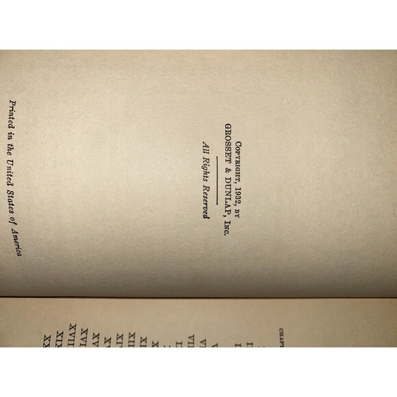 FLYING BLACK BIRDS THOMSON BURTIS AIR COMBAT PLANES 1932 HARDCOVER BOOK Vintage - Picture 8 of 9